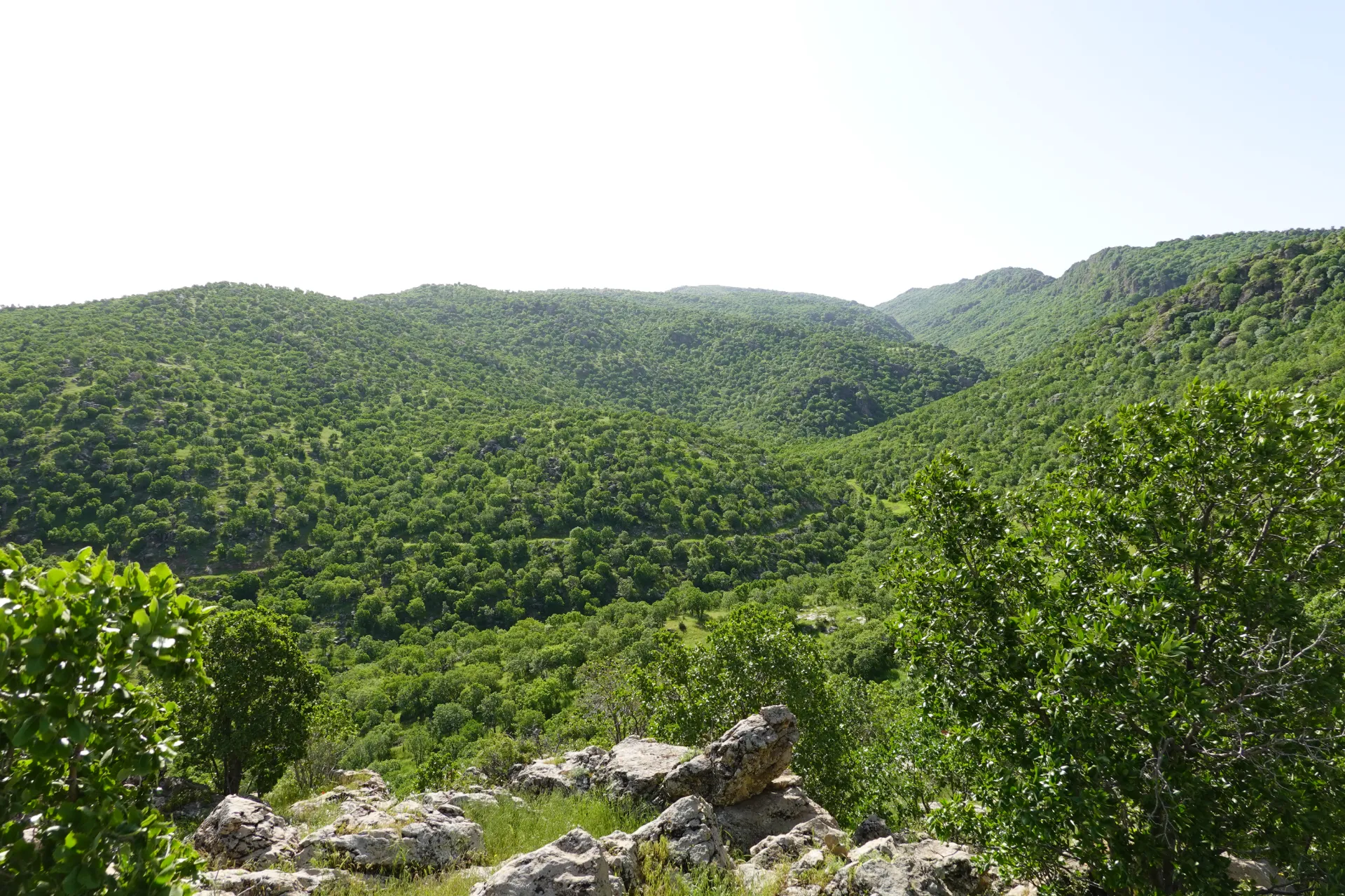 Safeen Mountain, Erbil